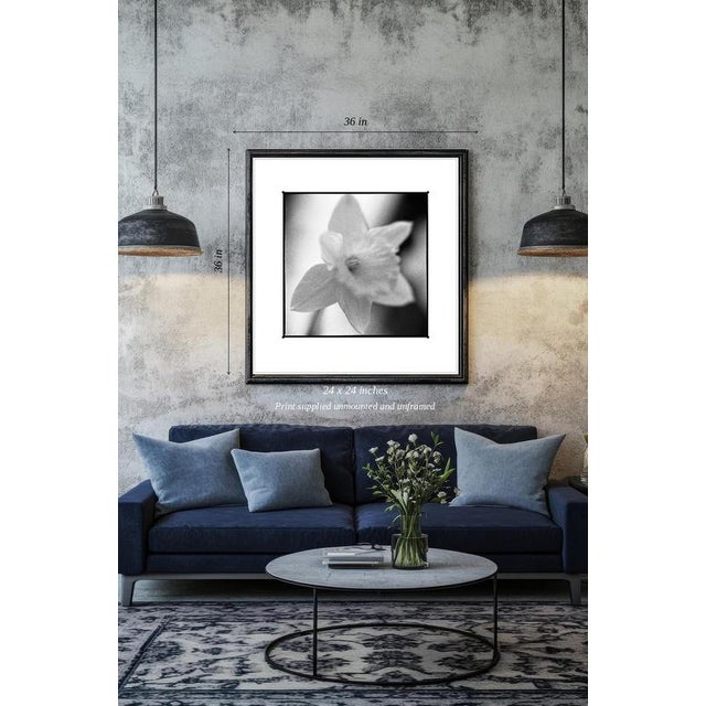 Contemporary Paul Cooklin, Daffodil, Edition of 50 For Sale - Image 3 of 5