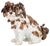 Meissen Porcelain Lapdog Figuirine For Sale
