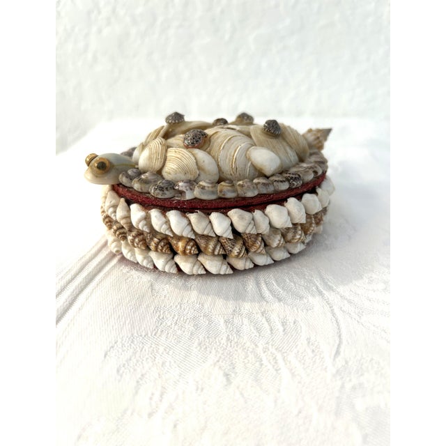 Victorian Mid-Century Turtle Seashell Lidded Keepsake Box For Sale - Image 3 of 5