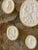 Antique Italian Grand Tour Plaster Intaglios - Set of 7 (Group #7) For Sale - Image 9 of 12