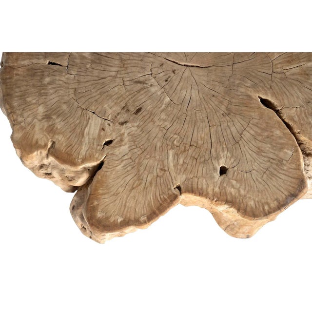 Bleached Lychee Wood Coffee Table For Sale In Dallas - Image 6 of 10