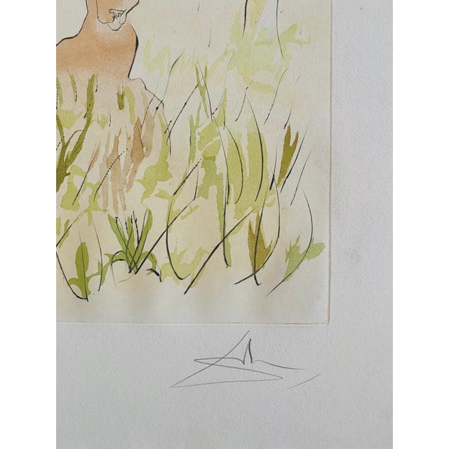 Printmaking Materials Salvador Dalí­, Salvador Dali, Le Cerf Malade Signed Etching Engraving, Color Lithograph Pochoir For Sale - Image 7 of 9