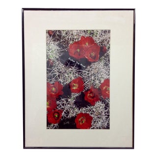 Joshua Tree Blooms Matted Color Photo Signed Brady For Sale