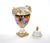 Meissen Porcelain Antique German Meissen Porcelain Painted & Gilt Decorative Covered Urn For Sale - Image 4 of 13
