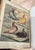 Animal Skin Rare 1870s First Edition: The Illustrated Book of Pigeons by Robert Fulton (Cassell Petter & Galpin) Complete With All 50 Color Plates by j.w. Ludlow For Sale - Image 7 of 12
