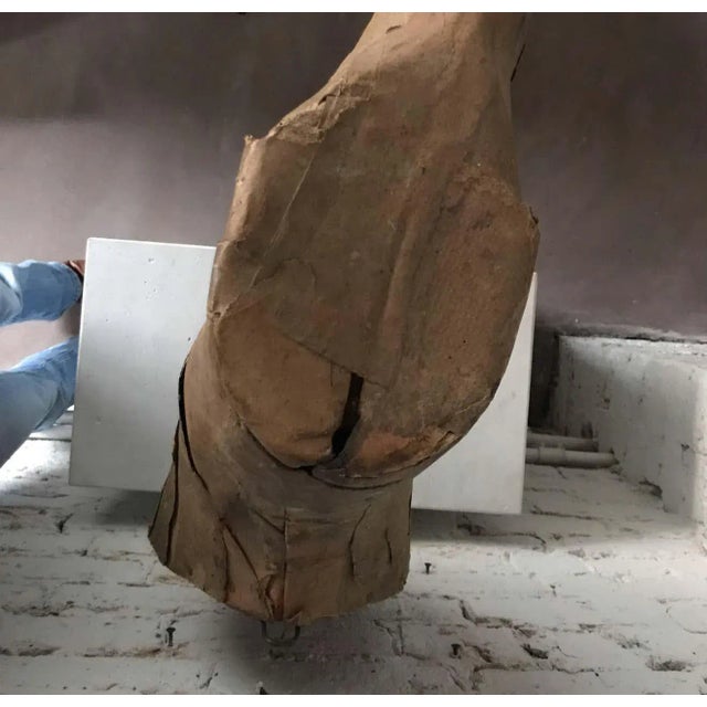 Early 20th Century Taxidermy Mold Horse Head For Sale - Image 9 of 10