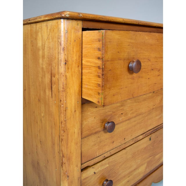 Late 19th Century Antique Pine Chest of Drawers, Late 19th C. For Sale - Image 5 of 13