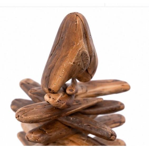 Contemporary Saltwood Fir | One-of-a-Kind Freestanding Driftwood Sculpture For Sale - Image 3 of 4