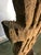 Asian 70" Large Mid 20th Century Thai Carved Teak Sculpture - Eternal Flame For Sale - Image 3 of 10