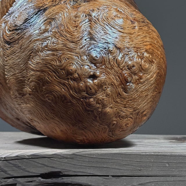 Vintage Abstract Organic Modern Burl Wood Sculpture For Sale - Image 10 of 10