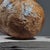 Vintage Abstract Organic Modern Burl Wood Sculpture For Sale - Image 10 of 10
