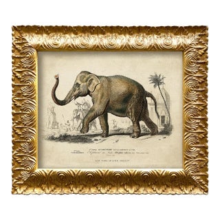 Reproduction Vintage Elephant Art Print, Framed For Sale