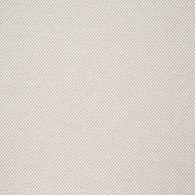 Contemporary SAMPLE - Schumacher Pippa Indoor/Outdoor Fabric In Natural For Sale - Image 3 of 3