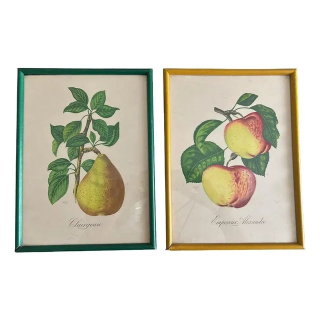Zoltan Lucas, Fruits, 1910s, Lithographs, Set of 2 For Sale - Image 12 of 12