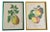 Zoltan Lucas, Fruits, 1910s, Lithographs, Set of 2 For Sale - Image 12 of 12