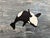 Textile Alex Paulus “Be dazzled” Colorful Contemporary Ocean Seascape Painting of a Jumping Orca, 2013 For Sale - Image 7 of 8