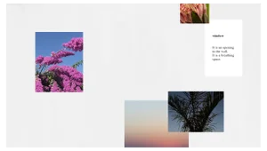 Windows Wallpaper by Millim Studio
