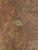 Vintage Chippendale Mahogany Tripod Wine Table For Sale - Image 3 of 8