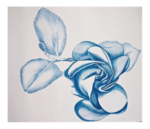 Blue Rose - Original Etching by Giacomo Porzano - 1970 1970