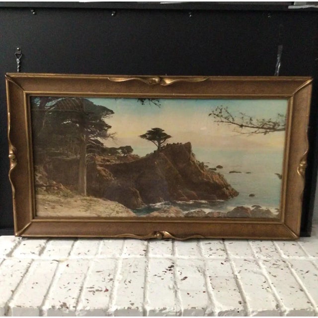 Vintage 1920s Hand Colored Photograph of the Lone Cypress in Monterey, California For Sale - Image 12 of 12