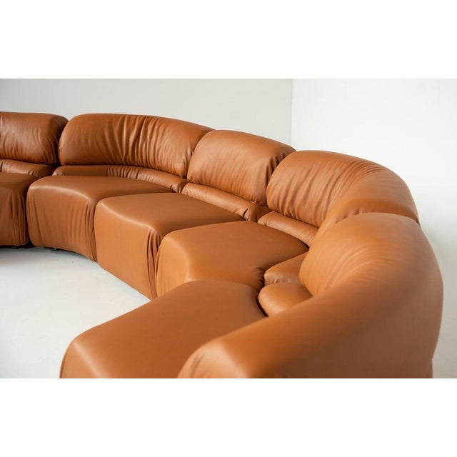 Animal Skin Cosmos DS28 Modular Sofa by Ulbald Klug & De Sede, 1970, Set of 5 For Sale - Image 7 of 15