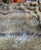 Faux Fur Bear Throw by Restoration Hardware For Sale In West Palm - Image 6 of 12