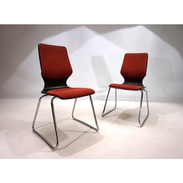 Pagwood Chairs by Elmar Flötotto, 1970s, Set of 2 For Sale - Image 15 of 15
