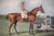 Early 19th Century Barefoot, the Winner of the Great St. Leger at Doncaster 1823 Aquatint by John Frederick Herring SNR For Sale - Image 5 of 7