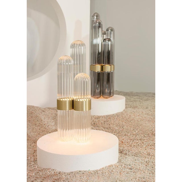 Cactus Big Floor Lamp Transparent by Pulpo For Sale - Image 11 of 18