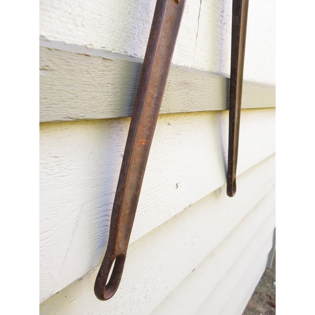 Primitive Cast Iron Cattle Dehorn Tool ~ Bull Horn Cutter ~ Barn Farm Wall Art For Sale - Image 10 of 12