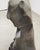 Monumental Chinese Scholar's Water Stone on Carved Base 5 Ft For Sale - Image 15 of 18