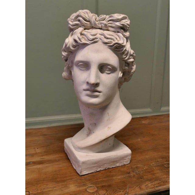 Large Heavy Bust of Apollo For Sale - Image 3 of 8
