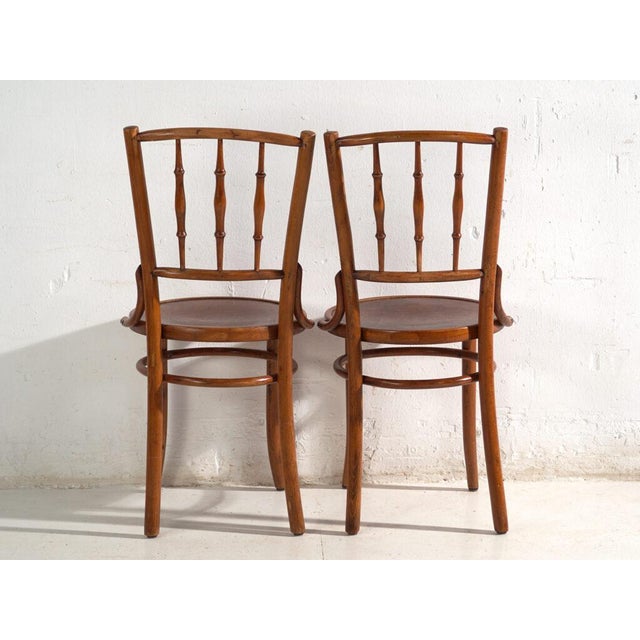 Bentwood Chairs in the style of Thonet, Central Europe, 1930, Set of 4 For Sale - Image 6 of 17