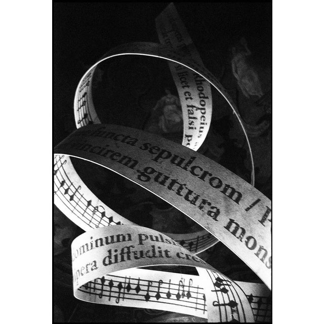 Paul Cooklin, Music, Edition of 50 For Sale - Image 7 of 7