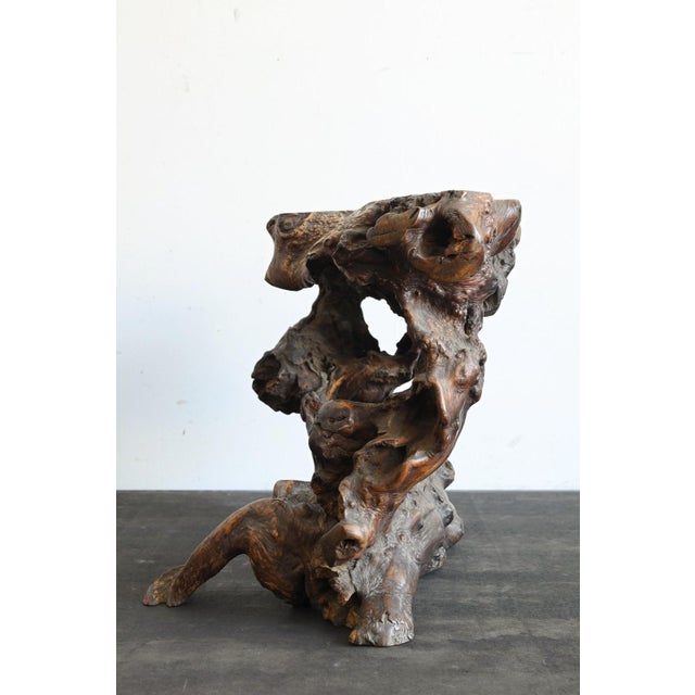 Antique Japanese Burl Wood Display Stand / Meiji-Showa / Organic One-of-a-Kind For Sale - Image 14 of 18