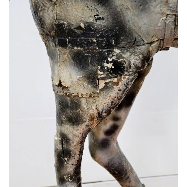 Antique French Carousel Dog, Circa 1890 For Sale - Image 17 of 18