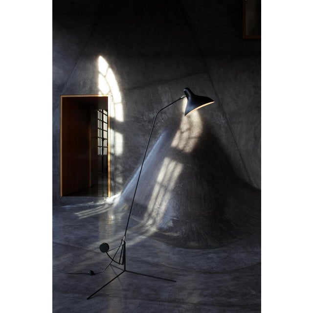 Metal Large Mantis BS1 Floor Lamp by Bernard Schottlander For Sale - Image 7 of 15
