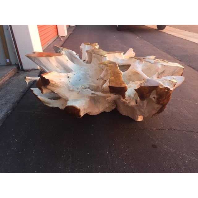 Teak Driftwood Coffee Table Chairish