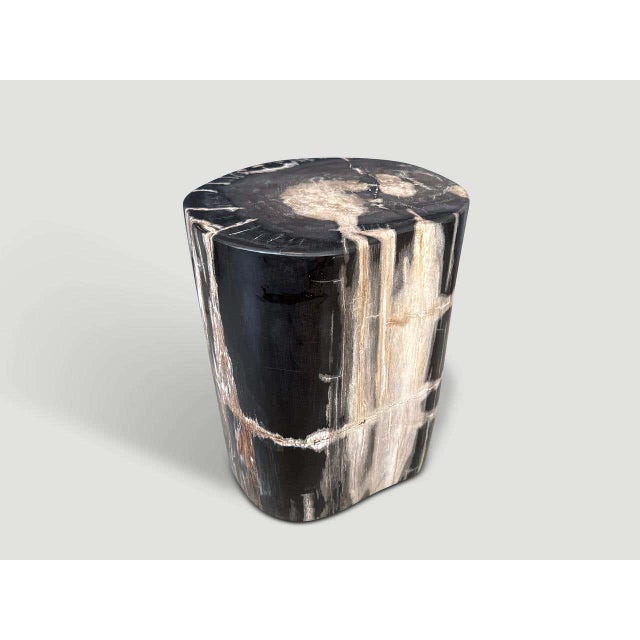 Andrianna Shamaris Modern Organic Petrified Wood Side Table For Sale In New York - Image 6 of 8