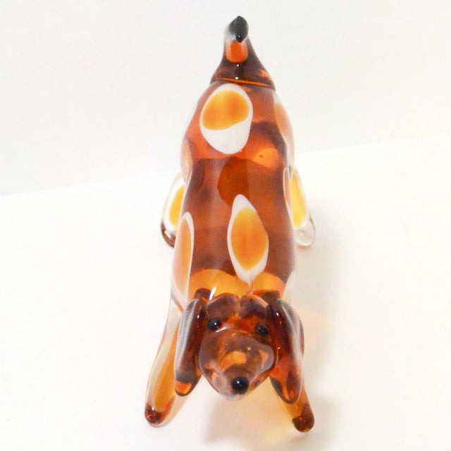 This vintage Murano glass dog looks to be a hound, who's ready to play. Done in a rich amber glass against a clear glass...
