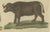 Bertuch, Exotic Cattle, Yak & Buffalo, 1800, Engraving For Sale - Image 9 of 10