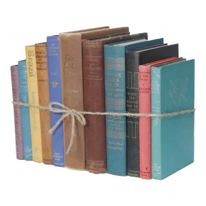 Decorative Books - Vintage Mix Books - 1 Foot of Books