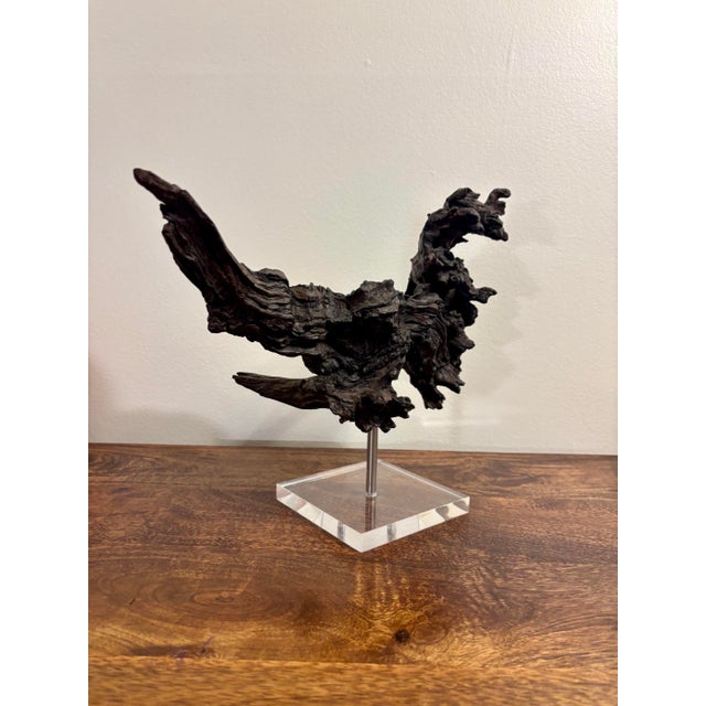 Vintage Natural Burl Wood Abstract Dragon Sculpture on Lucite Base, Coastal Modern For Sale - Image 9 of 9