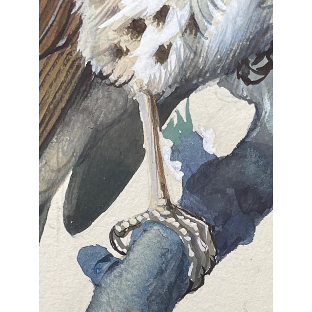 1950s Song Thrush Watercolour by Charles F. Tunnicliffe For Sale - Image 6 of 16