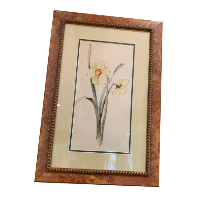 Early 20th Century Vintage Framed Watercolor of Daffodils For Sale
