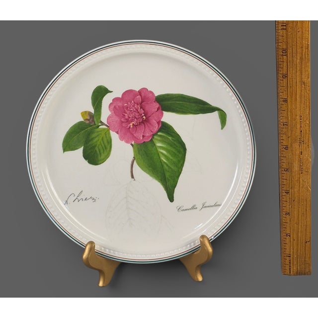 Collectable Villeroy & Boch Floral Blush Pink Camelia Wall Plate 1994 For Sale - Image 6 of 8