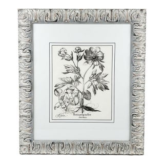 Black White Peonie Ll" Botanical Companion Print For Sale