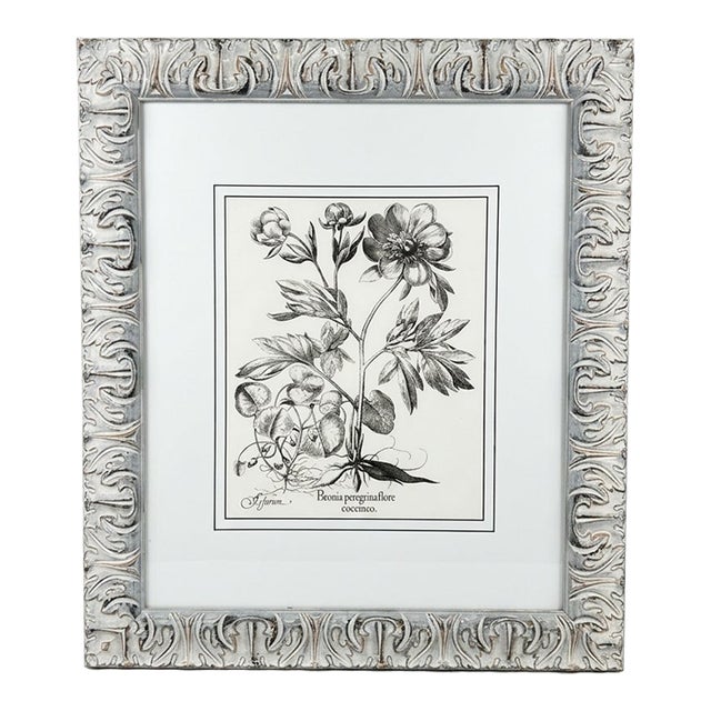Black White Peonie Ll" Botanical Companion Print For Sale