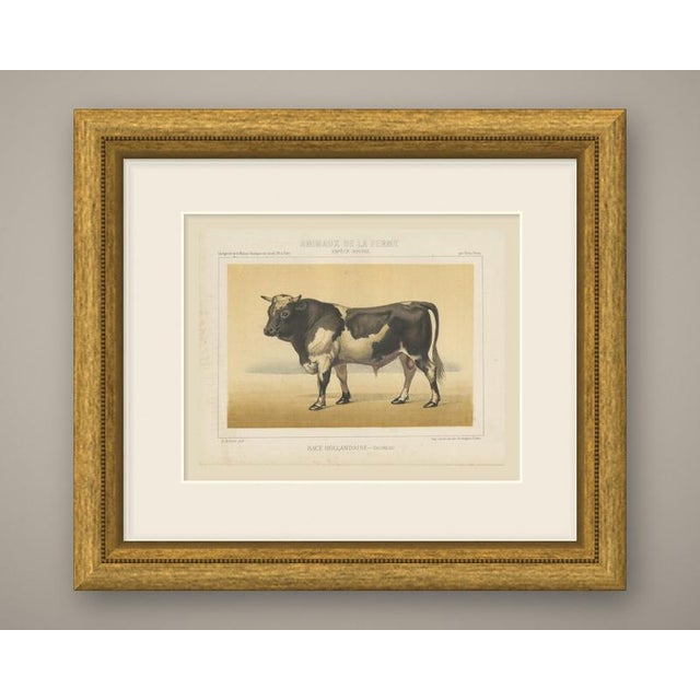 This is an original antique chromolithograph, printed in color from several lithographic stones, from victor borie's...