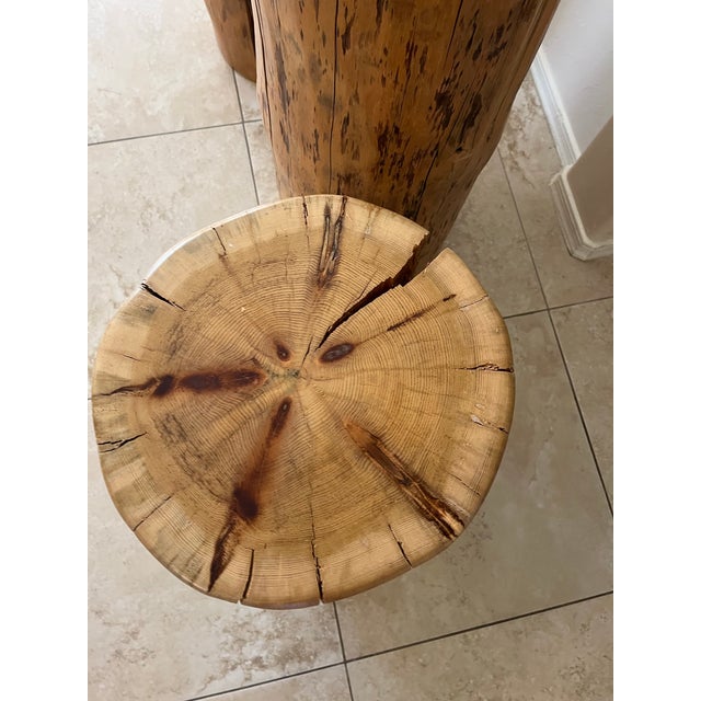 Tan Set of Three Solid Wood Stump Side Tables For Sale - Image 8 of 12